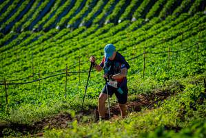 BIB: 
                            <button type="button" onclick="openModal(19160490)" class="btn btn-primary btn-sm float-right btn-popup" data-toggle="modal" data-target=".modal-high-quality">
                        <i class="fas fa-shopping-cart"></i> Add to Cart
                    </button>
                                            <button type="button" onclick="isThisMe(19160490, true)" class="btn btn-success btn-sm float-right btn-popup btn-isme hidden" data-toggle="tooltip" data-placement="bottom" title="นี่คือรูปของคุณใช่ไหม คลิกที่นี่เพื่อเอาเข้าอัลบั้ม">
                        <i class="fas fa-plus"></i> Add to album
                    </button>
                    <button type="button" onclick="isThisMe(19160490, false)" class="btn btn-warning btn-sm float-right btn-popup btn-isnotme hidden">
                        <i class="fas fa-ban"></i> Remove from album
                    </button>